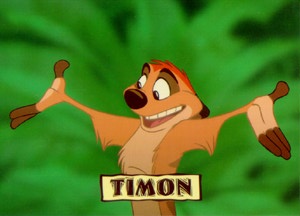 Timon's Avatar